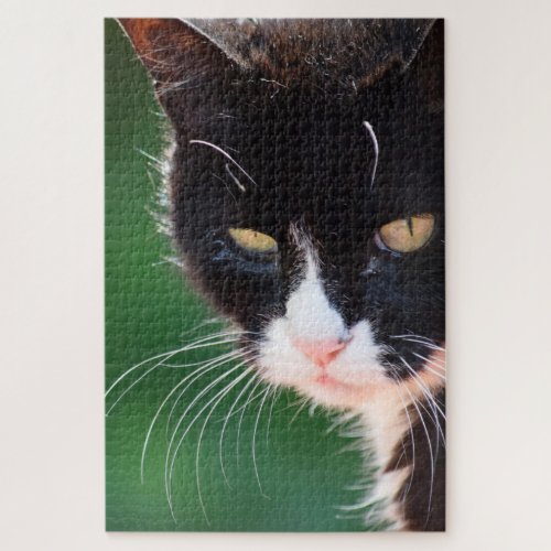 Mr Whiskers _ Cat Jigsaw Puzzle _ 20x30 _ 1014 pc