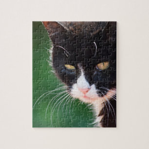Mr. Whiskers - Cat Jigsaw Puzzle - 8x10 - 100 pc