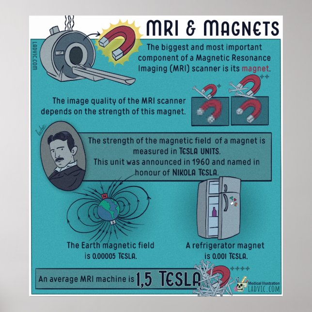 MRI & Magnets Poster (Front)