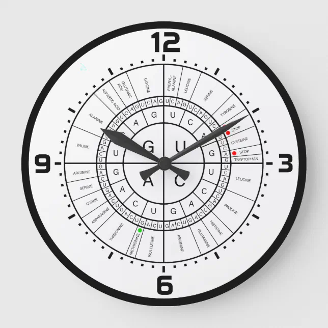 mRNA to AMINO ACID CODON WHEEL Large Clock | Zazzle