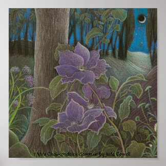 'Mrs Cholmondeley clematis by Moonlight' Poster