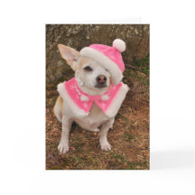 Mrs. Claus Christmas Card