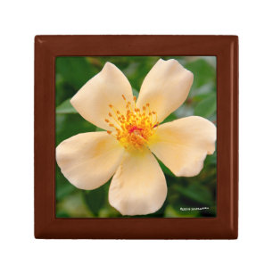 Mrs. Oakley Fisher Rose Gift Box