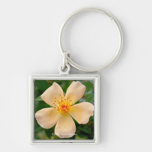 Mrs. Oakley Fisher Rose Keychain (Front)