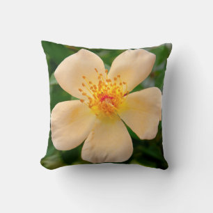 Mrs. Oakley Fisher Rose Throw Pillow