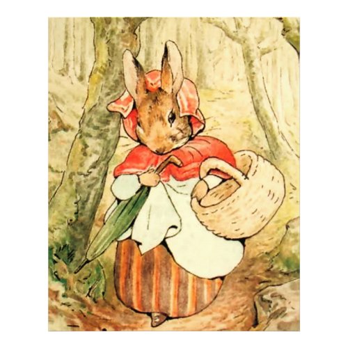 Mrs Rabbit Goes to Market by Beatrix Potter Photo Print