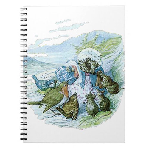 Mrs TIGGY_WINKLE gives the birds their clothes Notebook