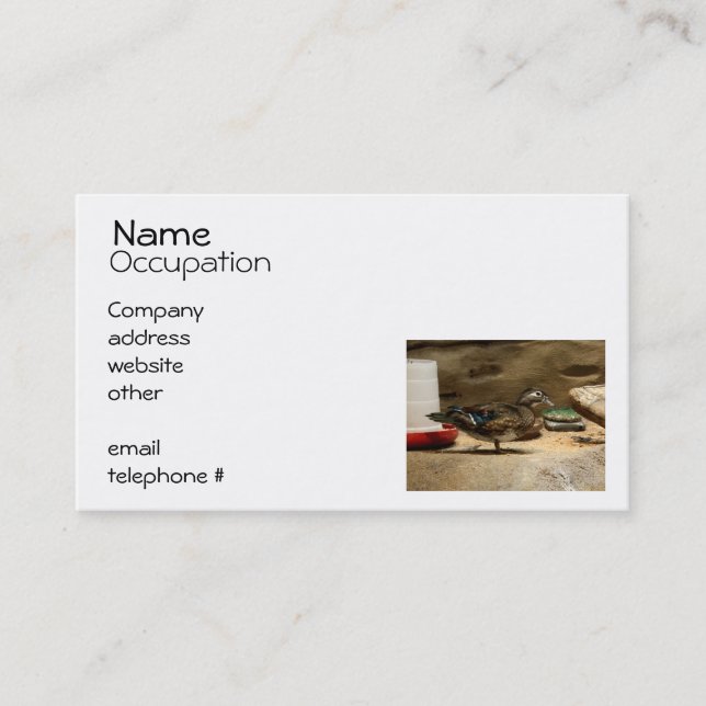 Mrs. Wood Duck Business Card (Front)