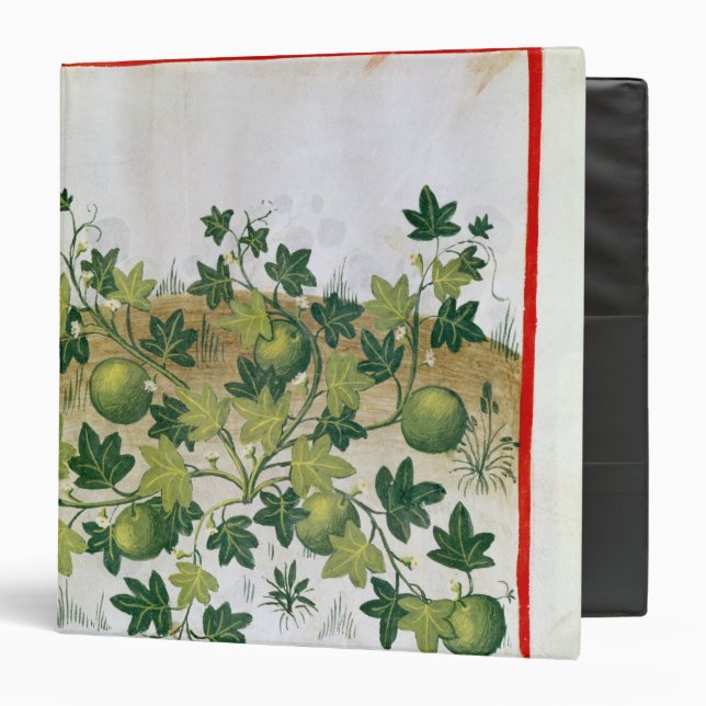 Ms 3054 fol.20 Melons, from 'Tacuinum Sanitatis' Binder (Front/Inside)