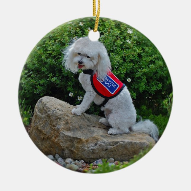 Ms Dolly MaltiPoo Ceramic Ornament (Front)