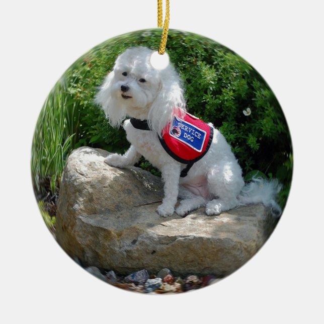 Ms Dolly MaltiPoo Ceramic Ornament (Front)