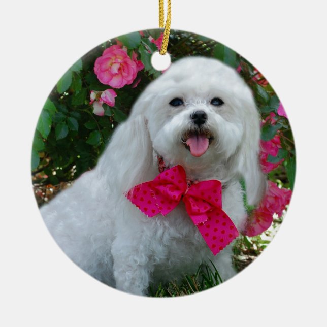 Ms Dolly MaltiPoo Ceramic Ornament (Front)