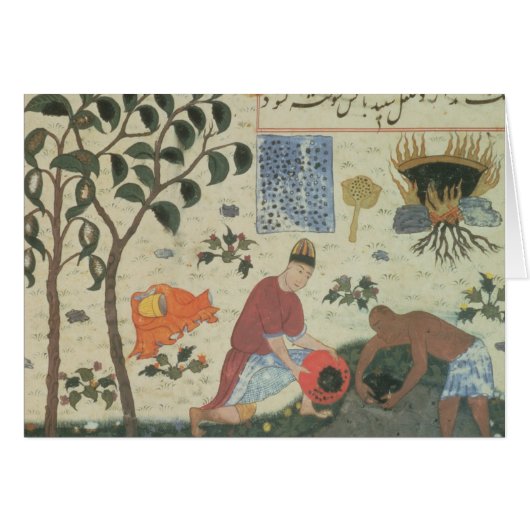 Ms Pers 332 Pepper tree and preparing pepper Cards (Front Horizontal)