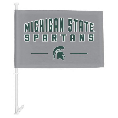 MSU Pennant  Michigan State University 4 Car Flag