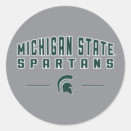 MSU Pennant  Michigan State University 4 Classic Round Sticker