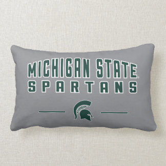 MSU Pennant | Michigan State University 4 Lumbar Pillow
