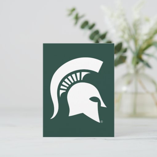 Msu Spartan Postcard Zazzle