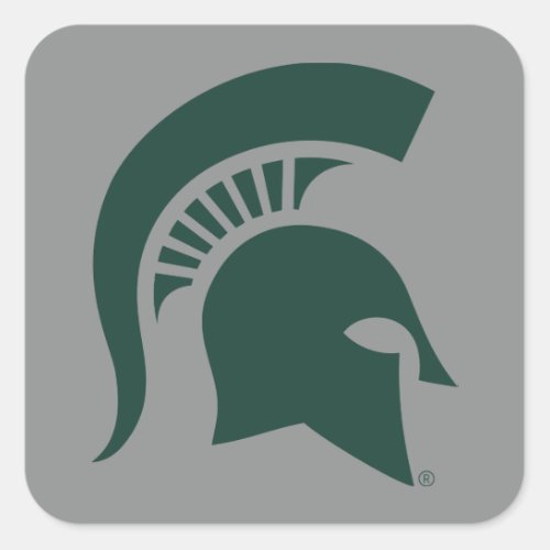 MSU Spartan Square Sticker