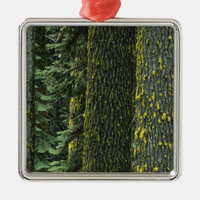 Mt. Ashland, Rogue RIver National Forest, Metal Ornament (Front)