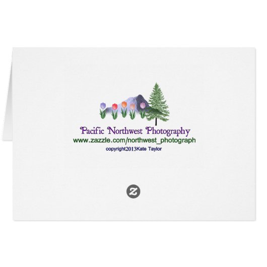 Mt Baker In July (Back Horizontal)