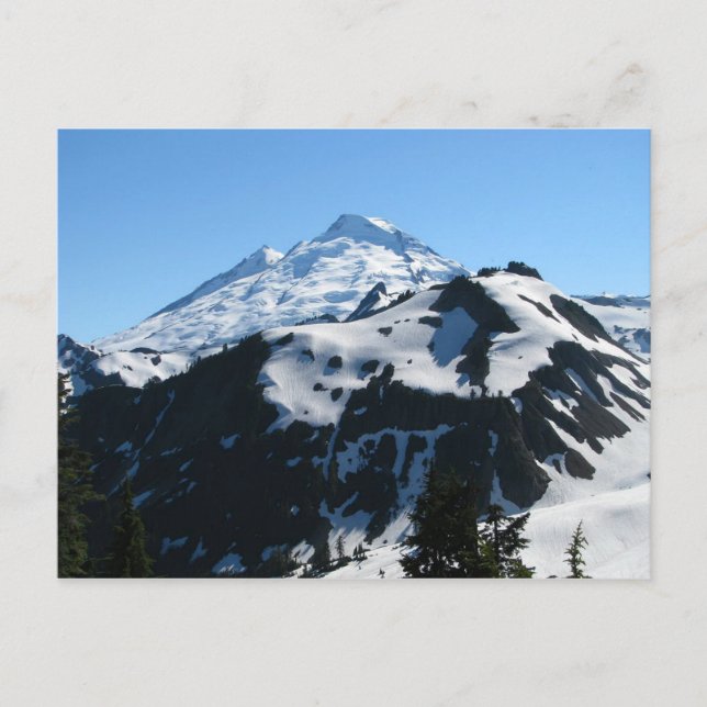 Mt Baker In July Postcard (Front)