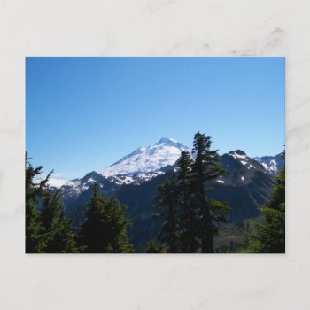 Mt Baker In Summer Postcard by northwest_photograph at Zazzle
