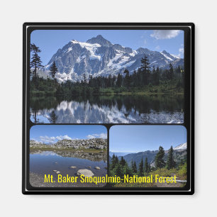 Mt. Baker Snoqualmie Nationa Forest Collage Magnet