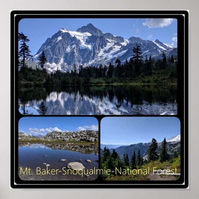 Mt. Baker-Snoqualmie National Forest Collage Poste Poster (Front)