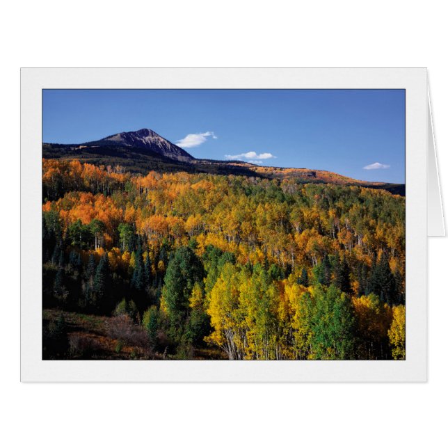 "Mt. Baldy - Aspen Tree Flow" Cards (Front Horizontal)