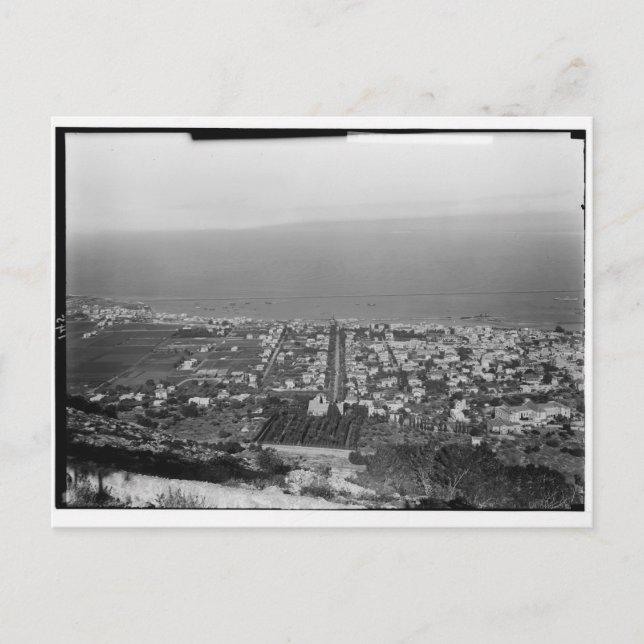 Mt. Carmel, Haifa, ca. 1922 Postcard (Front)