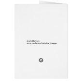 Mt. Carmel, trail near Shrine of the Bab ca. 1920 (Back)