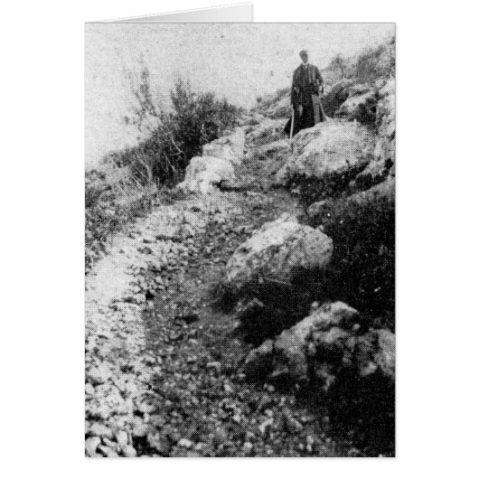 Mt. Carmel, trail near Shrine of the Bab ca. 1920 (Front)