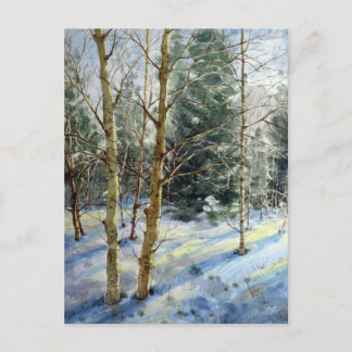 Mt Charleston trees in the snow Postcard