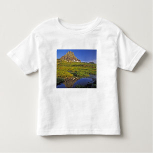 Mt Clements reflects into small pool at Logan Toddler T-shirt