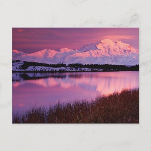 Mt Denali at sunset from Reflection Pond Postcard