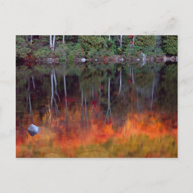 Mt. Desert Island | Acadia National Park, Maine Postcard (Front)