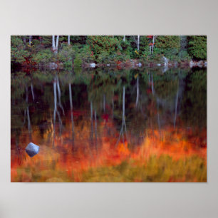 Mt. Desert Island Acadia National Park, Maine Poster