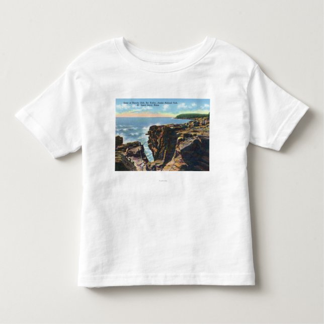Mt. Desert Island View of Thunder Hole Toddler T-shirt (Front)