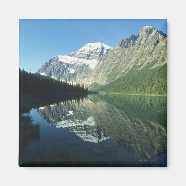 Mt Edith Cavell in Cavell Lake, Jasper National Magnet (Front)