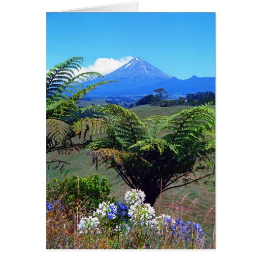 Mt.Egmont / Taranaki Cards (Front)