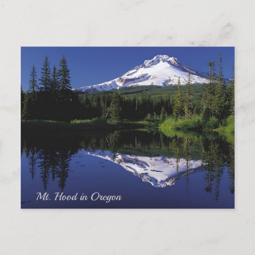 Mt Hood and Its Reflection on Lake in Oregon Postcard