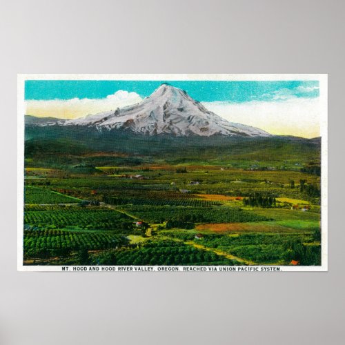 Mt Hood from Hood River ValleyHood River OR Poster