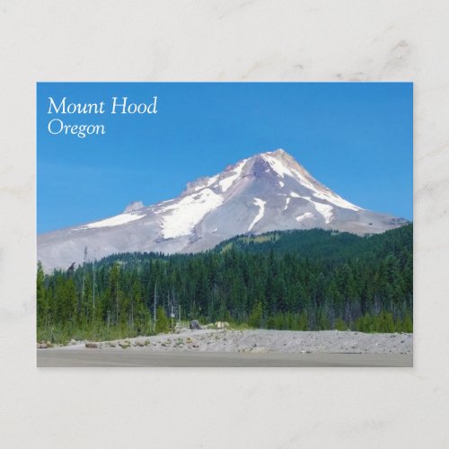 Mt Hood in Summer Oregon Postcard