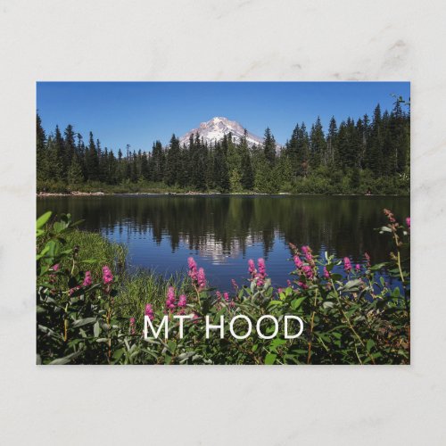 Mt Hood Lake Reflection Post Card