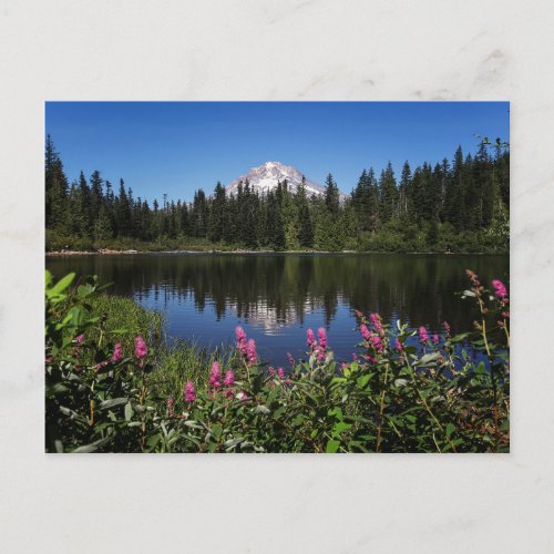 Mt Hood Lake Reflection Post Card