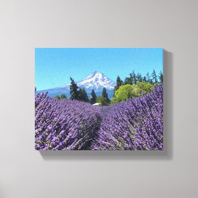 Mt Hood Oregon  Canvas Print (Front)