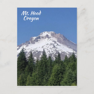 Mt. Hood Oregon Ski Bowl Postcard