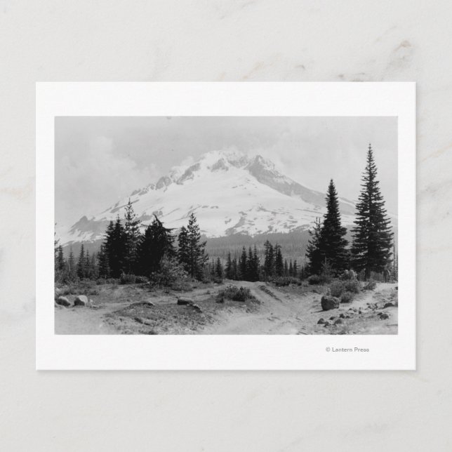Mt. Hood View from Government Camp Photograph Postcard (Front)