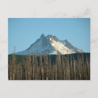 Mt. Jefferson from Olallie Lake, 2005 Postcard