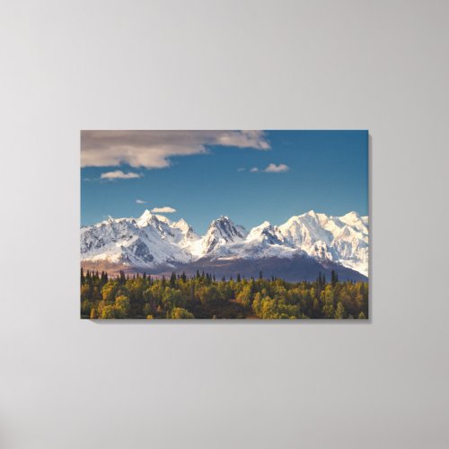 Mt McKinley  Alaska Canvas Print